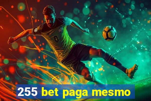 255 bet paga mesmo